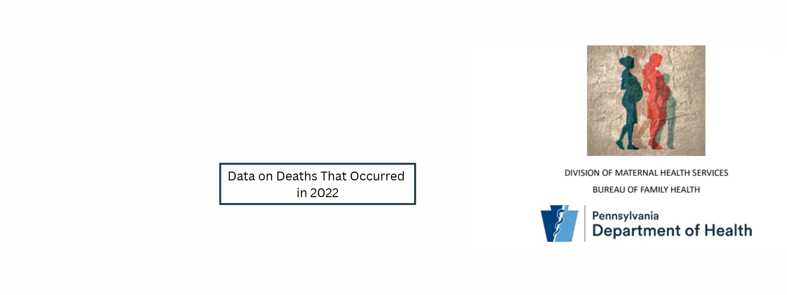 Check out the recently published Pennsylvania Maternal Mortality Review Annual Report