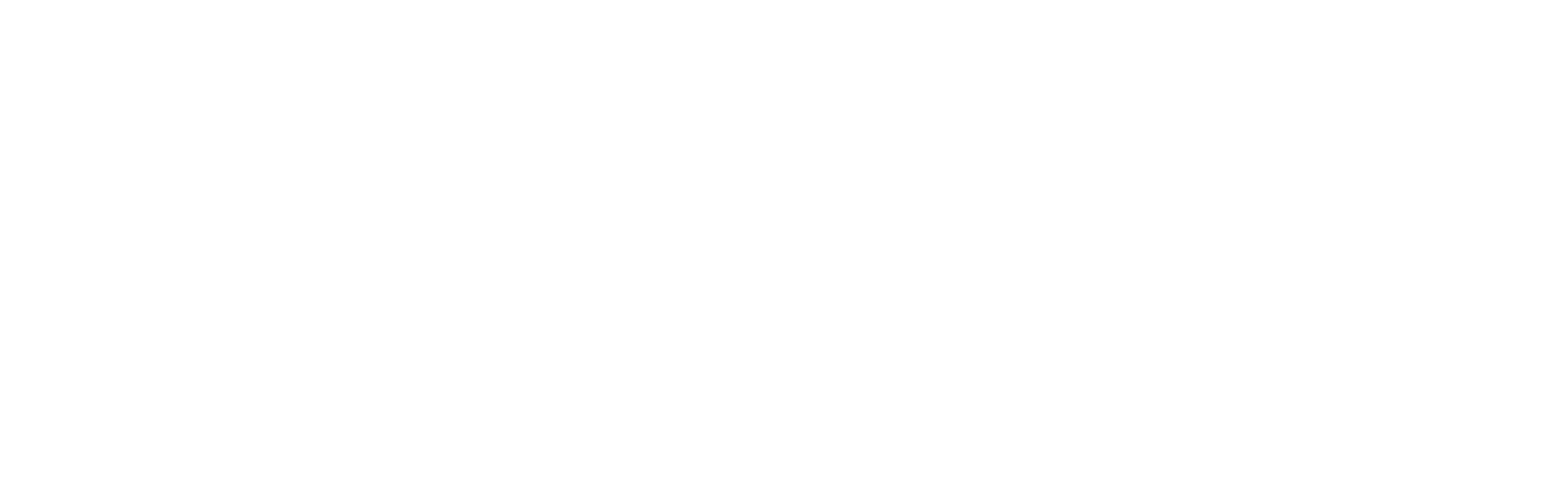 Perinatal Action Collaborative logo