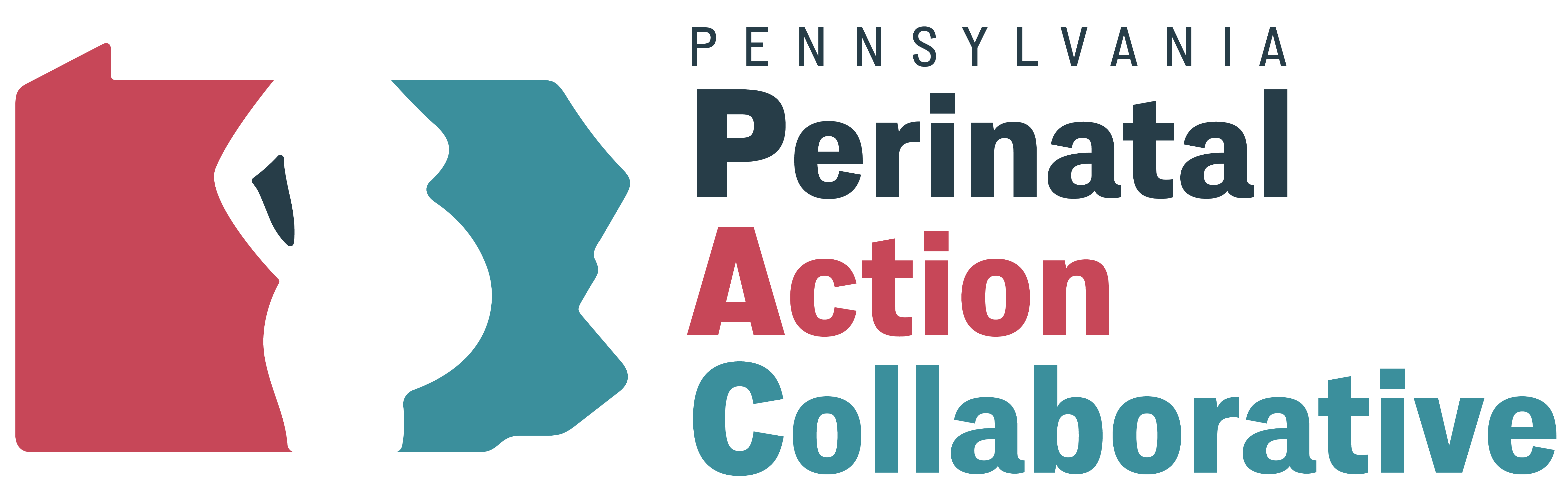 Pennsylvania Perinatal Action Collaborative logo